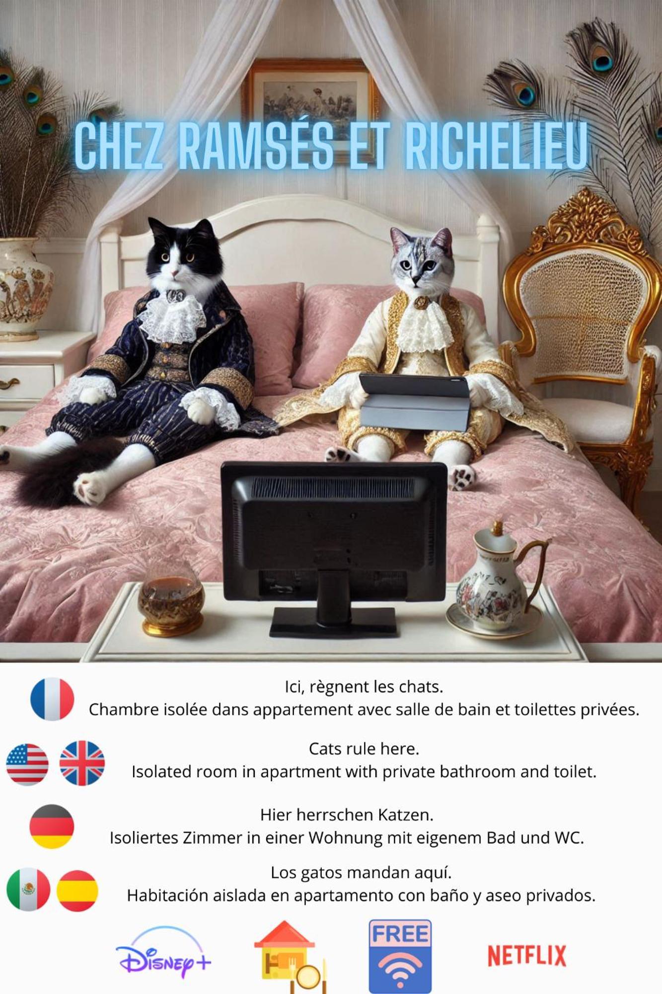 ポー Chez Ramses Et Richelieu Bed & Breakfast エクステリア 写真