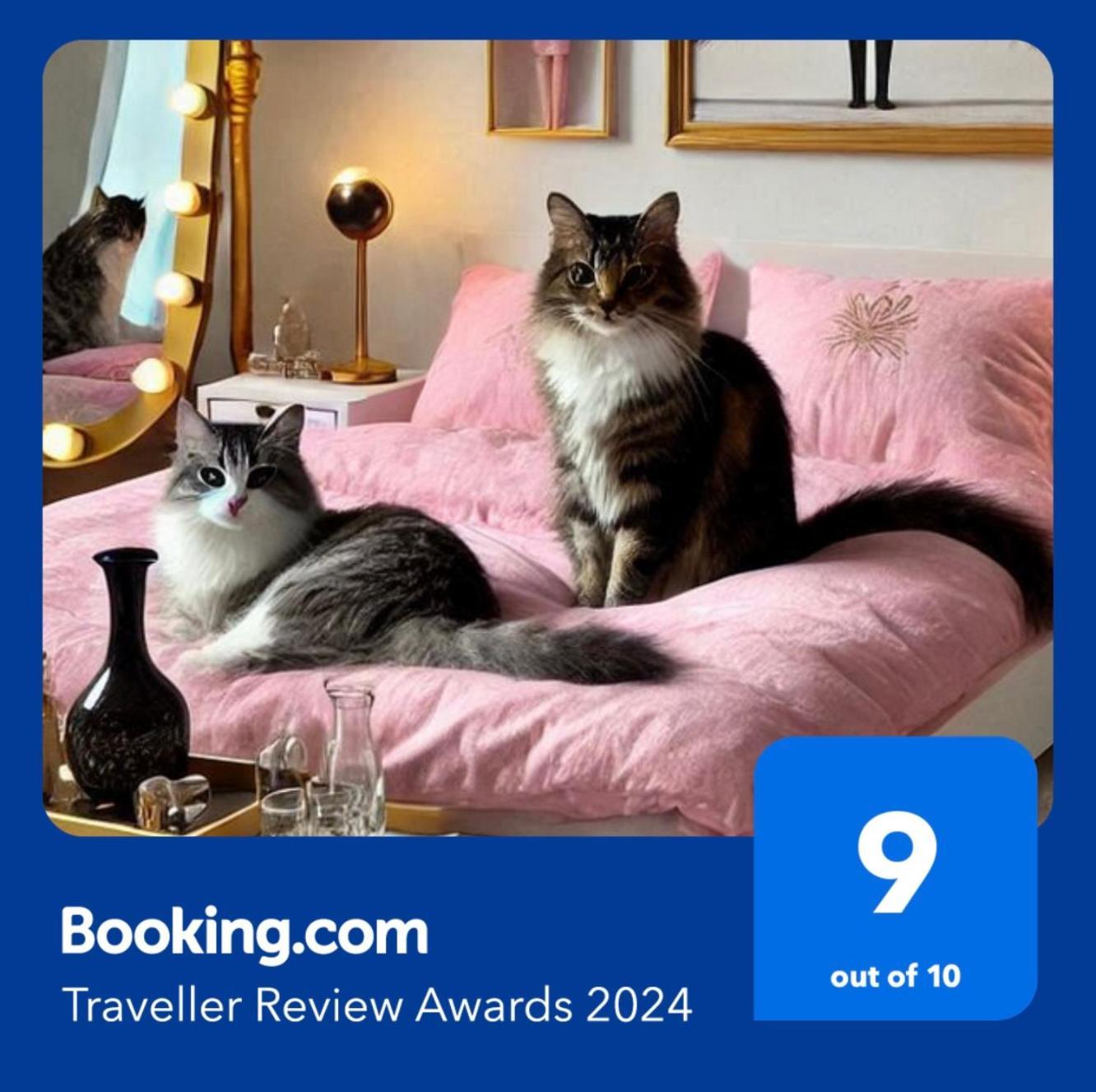 ポー Chez Ramses Et Richelieu Bed & Breakfast エクステリア 写真